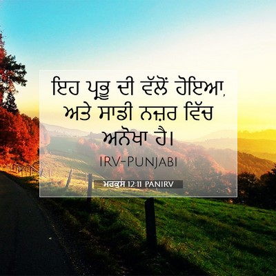 Picture 07 - ਮਰਕੁਸ 12:11 PANIRV - ਇਹ ਪ੍ਰਭੂ ਦੀ ਵੱਲੋਂ - Bible Verse Picture