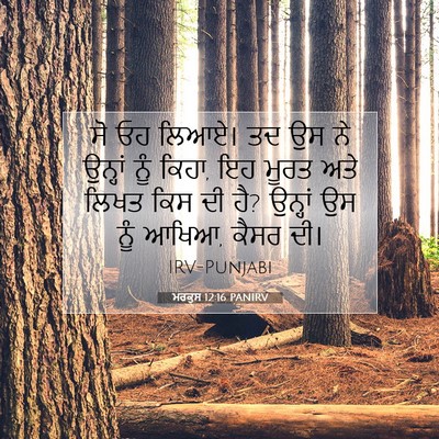 Picture 07 - ਮਰਕੁਸ 12:16 PANIRV - ਸੋ ਓਹ ਲਿਆਏ। ਤਦ ਉਸ - Bible Verse Picture
