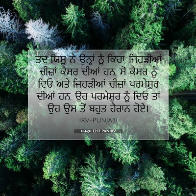 Picture 07 - ਮਰਕੁਸ 12:17 PANIRV - ਤਦ ਯਿਸੂ ਨੇ ਉਨ੍ਹਾਂ - Bible Verse Picture