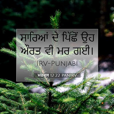Picture 07 - ਮਰਕੁਸ 12:22 PANIRV - ਸਾਰਿਆਂ ਦੇ ਪਿੱਛੋਂ - Bible Verse Picture