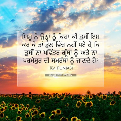 Picture 07 - ਮਰਕੁਸ 12:24 PANIRV - ਯਿਸੂ ਨੇ ਉਨ੍ਹਾਂ ਨੂੰ - Bible Verse Picture
