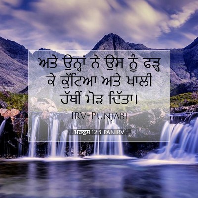 Picture 07 - ਮਰਕੁਸ 12:3 PANIRV - ਅਤੇ ਉਨ੍ਹਾਂ ਨੇ ਉਸ - Bible Verse Picture