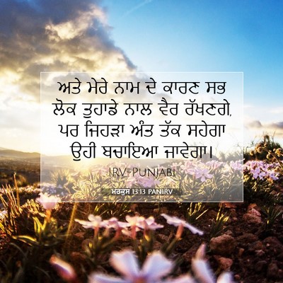 Picture 07 - ਮਰਕੁਸ 13:13 PANIRV - ਅਤੇ ਮੇਰੇ ਨਾਮ ਦੇ - Bible Verse Picture