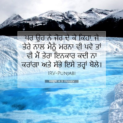 Picture 07 - ਮਰਕੁਸ 14:31 PANIRV - ਪਰ ਉਹ ਨੇ ਜੋਰ ਦੇ ਕੇ - Bible Verse Picture