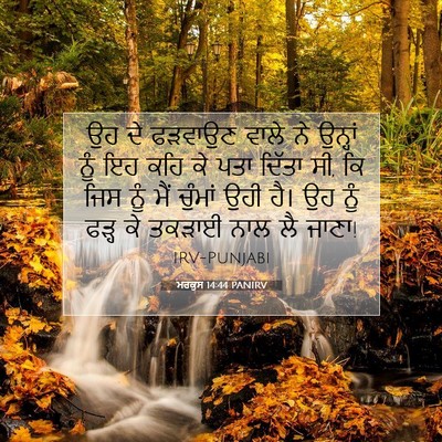 Picture 07 - ਮਰਕੁਸ 14:44 PANIRV - ਉਹ ਦੇ ਫੜਵਾਉਣ ਵਾਲੇ - Bible Verse Picture