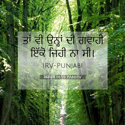 Picture 07 - ਮਰਕੁਸ 14:59 PANIRV - ਤਾਂ ਵੀ ਉਨ੍ਹਾਂ ਦੀ - Bible Verse Picture