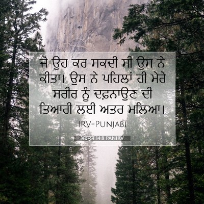 Picture 07 - ਮਰਕੁਸ 14:8 PANIRV - ਜੋ ਉਹ ਕਰ ਸਕਦੀ ਸੀ ਉਸ - Bible Verse Picture