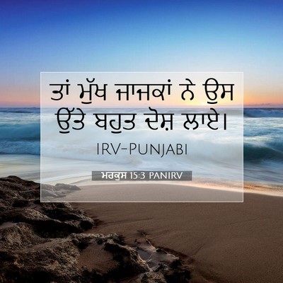 Picture 07 - ਮਰਕੁਸ 15:3 PANIRV - ਤਾਂ ਮੁੱਖ ਜਾਜਕਾਂ ਨੇ - Bible Verse Picture
