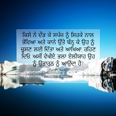 Picture 07 - ਮਰਕੁਸ 15:36 PANIRV - ਕਿਸੇ ਨੇ ਦੌੜ ਕੇ ਸਪੰਜ - Bible Verse Picture