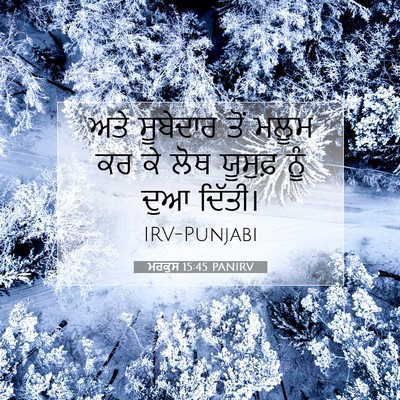 Picture 07 - ਮਰਕੁਸ 15:45 PANIRV - ਅਤੇ ਸੂਬੇਦਾਰ ਤੋਂ - Bible Verse Picture