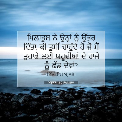 Picture 07 - ਮਰਕੁਸ 15:9 PANIRV - ਪਿਲਾਤੁਸ ਨੇ ਉਨ੍ਹਾਂ - Bible Verse Picture