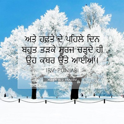 Picture 07 - ਮਰਕੁਸ 16:2 PANIRV - ਅਤੇ ਹਫ਼ਤੇ ਦੇ ਪਹਿਲੇ - Bible Verse Picture
