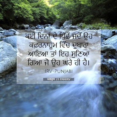 Picture 07 - ਮਰਕੁਸ 2:1 PANIRV - ਕਈ ਦਿਨਾਂ ਦੇ ਪਿੱਛੋਂ - Bible Verse Picture