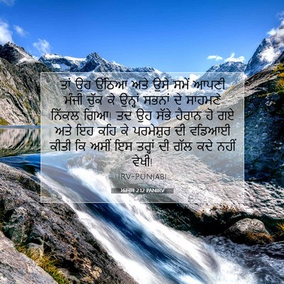 Picture 07 - ਮਰਕੁਸ 2:12 PANIRV - ਤਾਂ ਉਹ ਉੱਠਿਆ ਅਤੇ - Bible Verse Picture