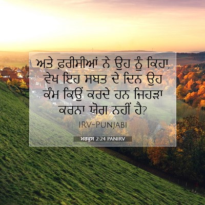 Picture 07 - ਮਰਕੁਸ 2:24 PANIRV - ਅਤੇ ਫ਼ਰੀਸੀਆਂ ਨੇ ਉਹ - Bible Verse Picture