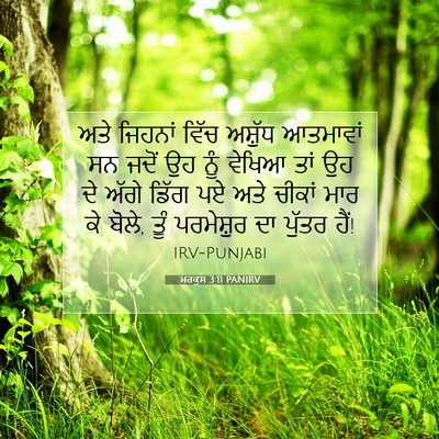 Picture 07 - ਮਰਕੁਸ 3:11 PANIRV - ਅਤੇ ਜਿਹਨਾਂ ਵਿੱਚ - Bible Verse Picture