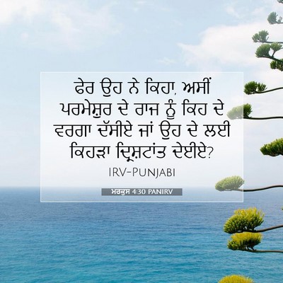 Picture 07 - ਮਰਕੁਸ 4:30 PANIRV - ਫੇਰ ਉਹ ਨੇ ਕਿਹਾ, - Bible Verse Picture