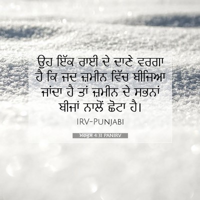 Picture 07 - ਮਰਕੁਸ 4:31 PANIRV - ਉਹ ਇੱਕ ਰਾਈ ਦੇ ਦਾਣੇ - Bible Verse Picture