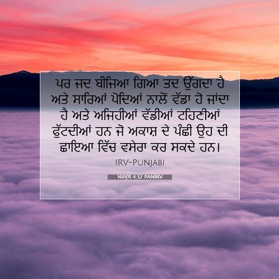Picture 07 - ਮਰਕੁਸ 4:32 PANIRV - ਪਰ ਜਦ ਬੀਜਿਆ ਗਿਆ ਤਦ - Bible Verse Picture