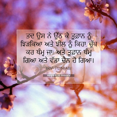 Picture 07 - ਮਰਕੁਸ 4:39 PANIRV - ਤਦ ਉਸ ਨੇ ਉੱਠ ਕੇ - Bible Verse Picture