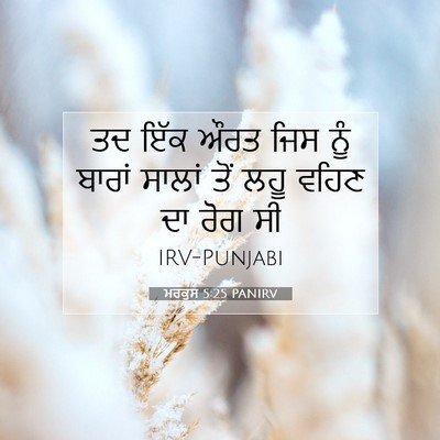 Picture 07 - ਮਰਕੁਸ 5:25 PANIRV - ਤਦ ਇੱਕ ਔਰਤ ਜਿਸ ਨੂੰ - Bible Verse Picture