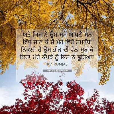 Picture 07 - ਮਰਕੁਸ 5:30 PANIRV - ਅਤੇ ਯਿਸੂ ਨੇ ਉਸ ਸਮੇਂ - Bible Verse Picture