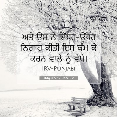 Picture 07 - ਮਰਕੁਸ 5:32 PANIRV - ਅਤੇ ਉਸ ਨੇ ਇੱਧਰ-ਉੱਧਰ - Bible Verse Picture
