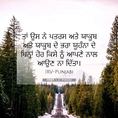 Picture 07 - ਮਰਕੁਸ 5:37 PANIRV - ਤਾਂ ਉਸ ਨੇ ਪਤਰਸ ਅਤੇ - Bible Verse Picture