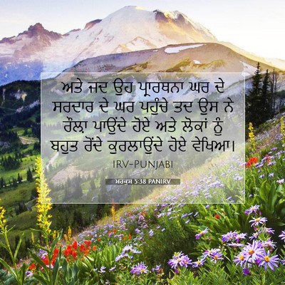 Picture 07 - ਮਰਕੁਸ 5:38 PANIRV - ਅਤੇ ਜਦ ਉਹ ਪ੍ਰਾਰਥਨਾ - Bible Verse Picture
