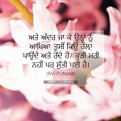 Picture 07 - ਮਰਕੁਸ 5:39 PANIRV - ਅਤੇ ਅੰਦਰ ਜਾ ਕੇ - Bible Verse Picture