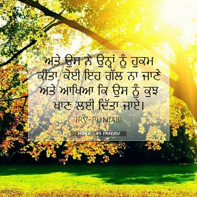 Picture 07 - ਮਰਕੁਸ 5:43 PANIRV - ਅਤੇ ਉਸ ਨੇ ਉਨ੍ਹਾਂ - Bible Verse Picture