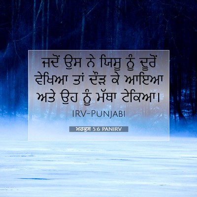 Picture 07 - ਮਰਕੁਸ 5:6 PANIRV - ਜਦੋਂ ਉਸ ਨੇ ਯਿਸੂ ਨੂੰ - Bible Verse Picture