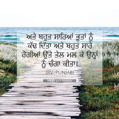 Picture 07 - ਮਰਕੁਸ 6:13 PANIRV - ਅਤੇ ਬਹੁਤ ਸਾਰਿਆਂ - Bible Verse Picture