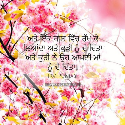Picture 07 - ਮਰਕੁਸ 6:28 PANIRV - ਅਤੇ ਇੱਕ ਥਾਲ ਵਿੱਚ - Bible Verse Picture