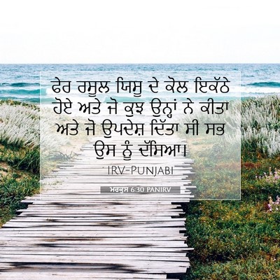 Picture 07 - ਮਰਕੁਸ 6:30 PANIRV - ਫੇਰ ਰਸੂਲ ਯਿਸੂ ਦੇ - Bible Verse Picture