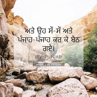 Picture 07 - ਮਰਕੁਸ 6:40 PANIRV - ਅਤੇ ਉਹ ਸੌ-ਸੌ ਅਤੇ - Bible Verse Picture