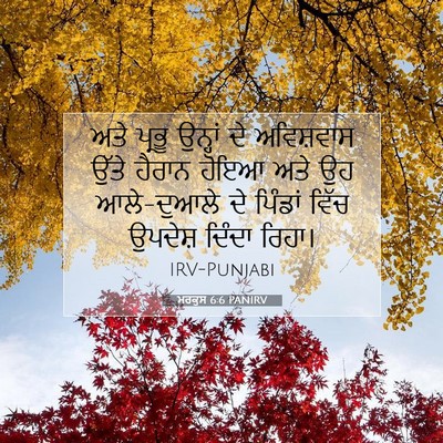 Picture 07 - ਮਰਕੁਸ 6:6 PANIRV - ਅਤੇ ਪ੍ਰਭੂ ਉਨ੍ਹਾਂ - Bible Verse Picture