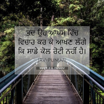 Picture 07 - ਮਰਕੁਸ 8:16 PANIRV - ਤਦ ਉਹ ਆਪਸ ਵਿੱਚ - Bible Verse Picture