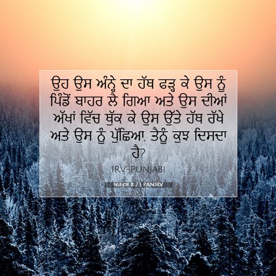 Picture 07 - ਮਰਕੁਸ 8:23 PANIRV - ਉਹ ਉਸ ਅੰਨ੍ਹੇ ਦਾ ਹੱਥ - Bible Verse Picture