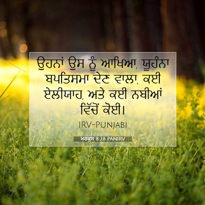 Picture 07 - ਮਰਕੁਸ 8:28 PANIRV - ਉਹਨਾਂ ਉਸ ਨੂੰ ਆਖਿਆ, - Bible Verse Picture
