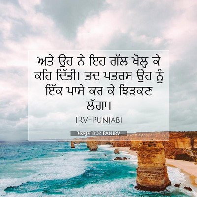 Picture 07 - ਮਰਕੁਸ 8:32 PANIRV - ਅਤੇ ਉਹ ਨੇ ਇਹ ਗੱਲ - Bible Verse Picture