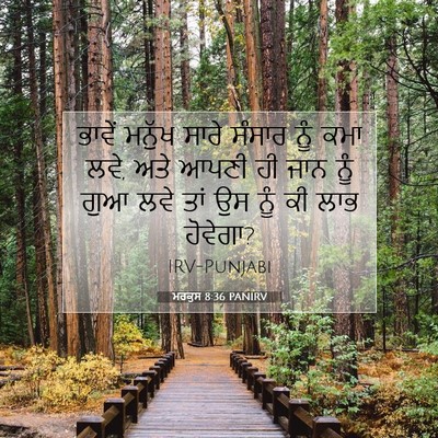 Picture 07 - ਮਰਕੁਸ 8:36 PANIRV - ਭਾਵੇਂ ਮਨੁੱਖ ਸਾਰੇ - Bible Verse Picture