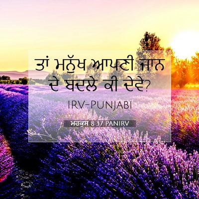 Picture 07 - ਮਰਕੁਸ 8:37 PANIRV - ਤਾਂ ਮਨੁੱਖ ਆਪਣੀ ਜਾਨ - Bible Verse Picture