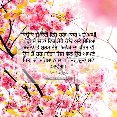 Picture 07 - ਮਰਕੁਸ 8:38 PANIRV - ਕਿਉਂਕਿ ਜੋ ਕੋਈ ਇਸ - Bible Verse Picture