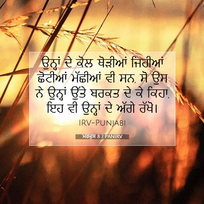 Picture 07 - ਮਰਕੁਸ 8:7 PANIRV - ਉਨ੍ਹਾਂ ਦੇ ਕੋਲ - Bible Verse Picture