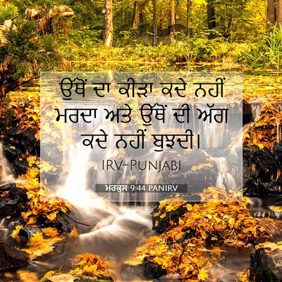 Picture 07 - ਮਰਕੁਸ 9:44 PANIRV - ਉੱਥੋਂ ਦਾ ਕੀੜਾ ਕਦੇ - Bible Verse Picture
