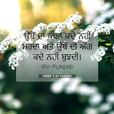 Picture 07 - ਮਰਕੁਸ 9:48 PANIRV - ਉੱਥੋਂ ਦਾ ਕੀੜਾ ਕਦੇ - Bible Verse Picture