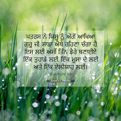 Picture 07 - ਮਰਕੁਸ 9:5 PANIRV - ਪਤਰਸ ਨੇ ਯਿਸੂ ਨੂੰ - Bible Verse Picture
