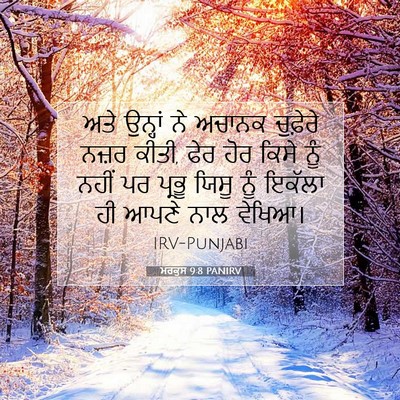 Picture 07 - ਮਰਕੁਸ 9:8 PANIRV - ਅਤੇ ਉਨ੍ਹਾਂ ਨੇ - Bible Verse Picture
