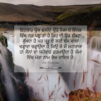 Picture 07 - ਮਲਾਕੀ 1:14 PANIRV - ਫਿਟਕਾਰ ਉਸ ਛਲੀਏ - Bible Verse Picture
